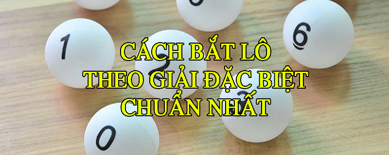 Phương pháp bắt lô theo đặc biệt đáng tin cậy nhất