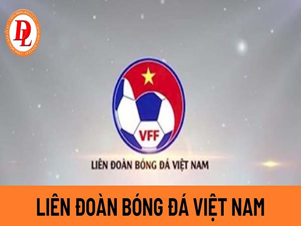 Giới thiệu tổng quan về VFF là gì