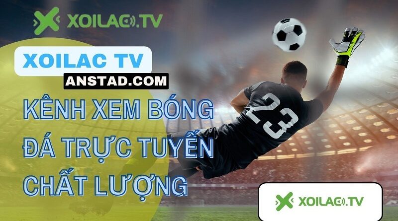 Nên hay không chọn Xoilac TV anstad.com xem bóng đá online?