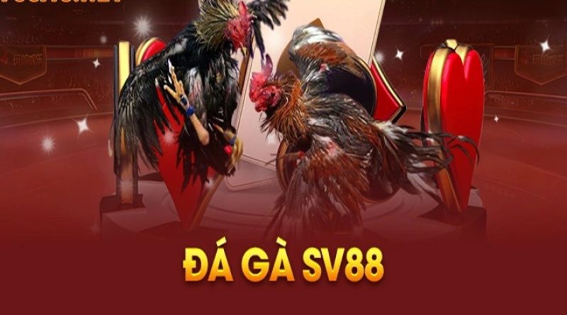 Đá Gà Sv88- Địa Chỉ Cá Cược Uy Tín Hàng Đầu