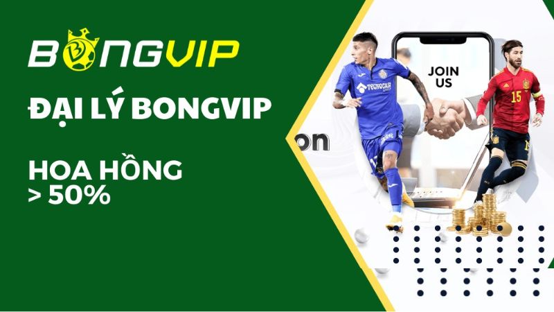 Quyền lợi của Đại lý Bongvip - Cơ hội và lợi nhuận