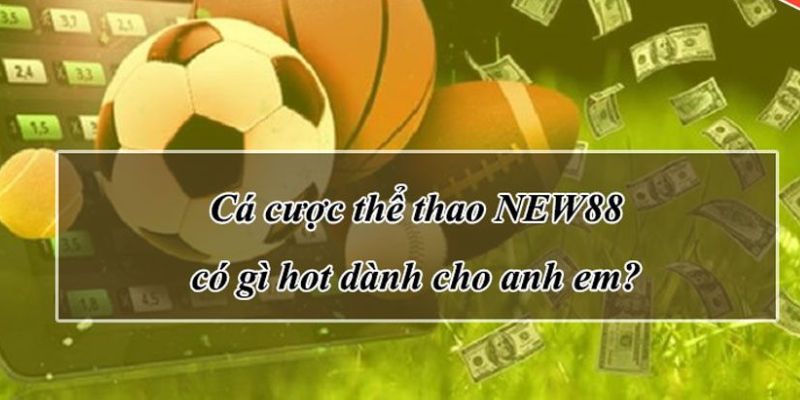 Giới thiệu điểm nổi bật của chuyên mục thể thao New88