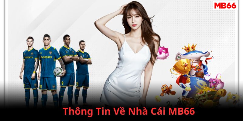 Thông tin nhà cái MB66