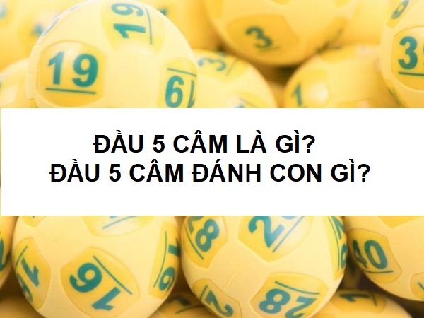 Lô câm đầu 5 nên đánh số mấy?