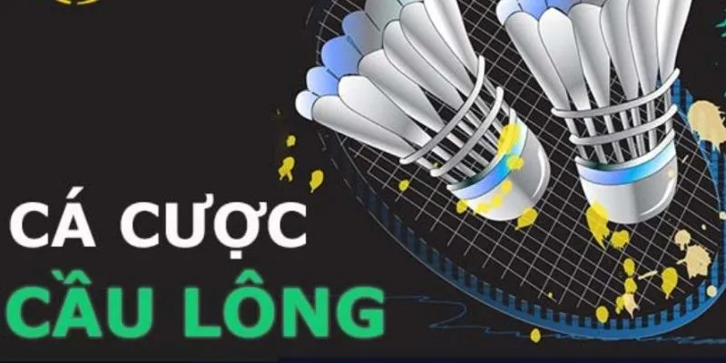 78Win – Nhà Cái Uy Tín Cho Dân Cá Cược Cầu Lông