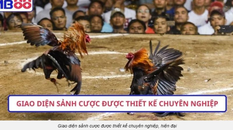 Đá gà MB88: Xem mượt, vào kèo nhanh, tỷ lệ rõ