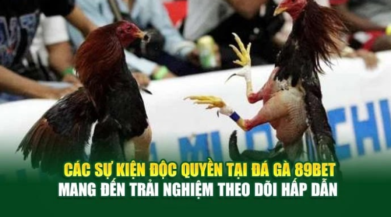 Đá Gà 89bet – Cập Nhật Các Sự Kiện Đá Gà Độc Quyền
